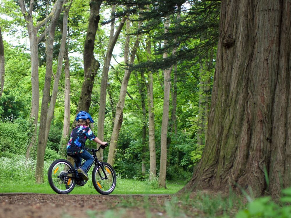 Specialized Jett 20 in use