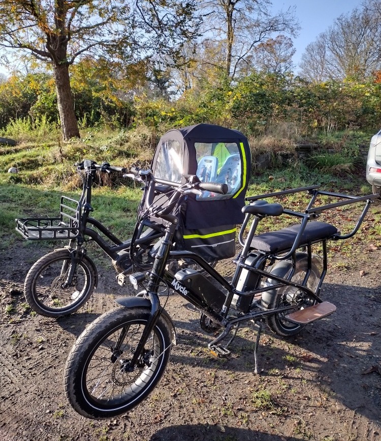what cargo bike is right for me Can the budget Mycle Cargo bike compete with the high-end Tern GSD longtail bike