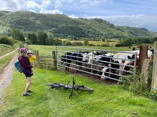 BTWIN 500 Baby Helmet review: a girl and her mum are stood looking at a field of cows