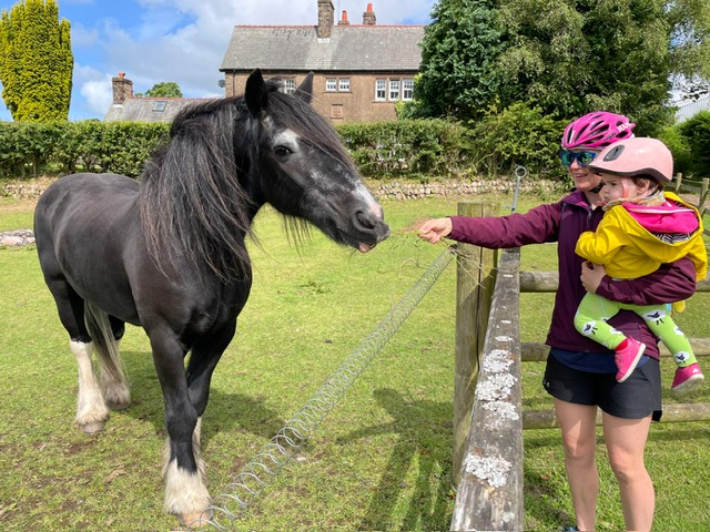 BTWIN 500 Baby Helmet review: a girl and her mum are stood feeding a horse