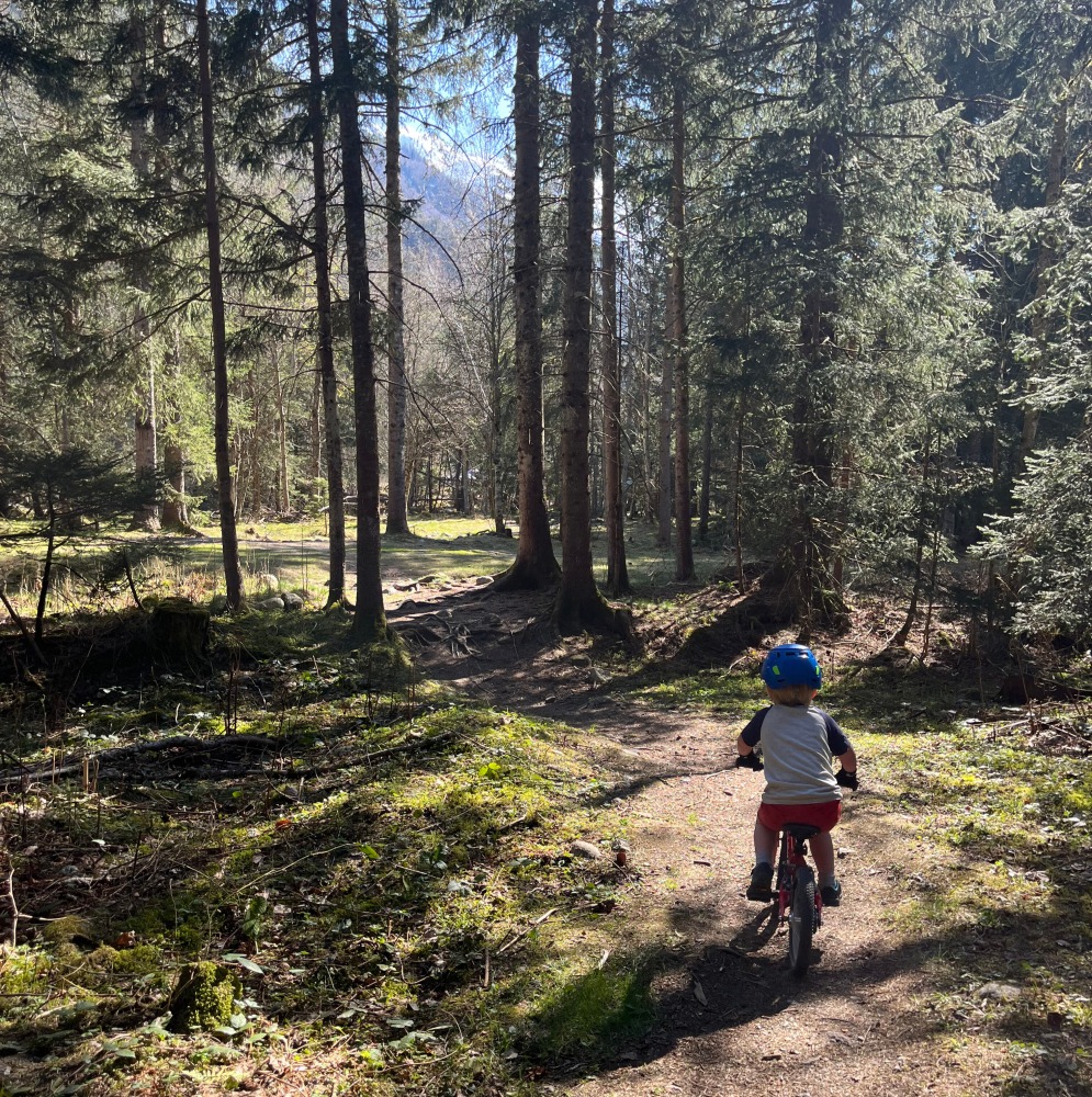 A little boy riding his red yomo bike with a blue helmet in the woods on a sunny day