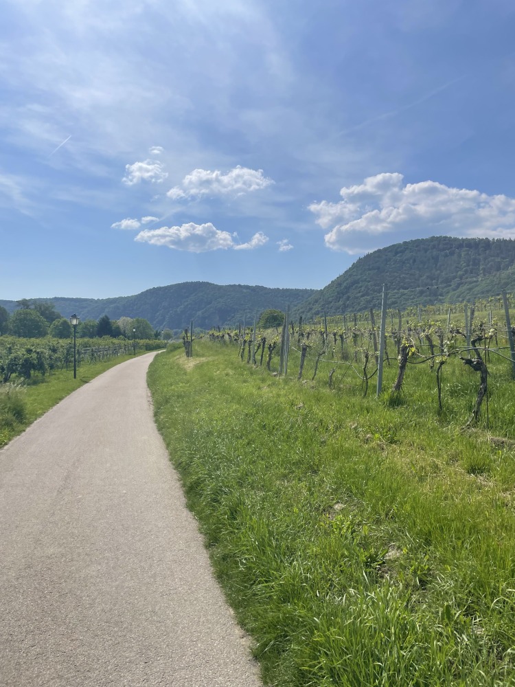 Sahir's cycle touring photos: A beautiful clear path with rolling hills in the distance