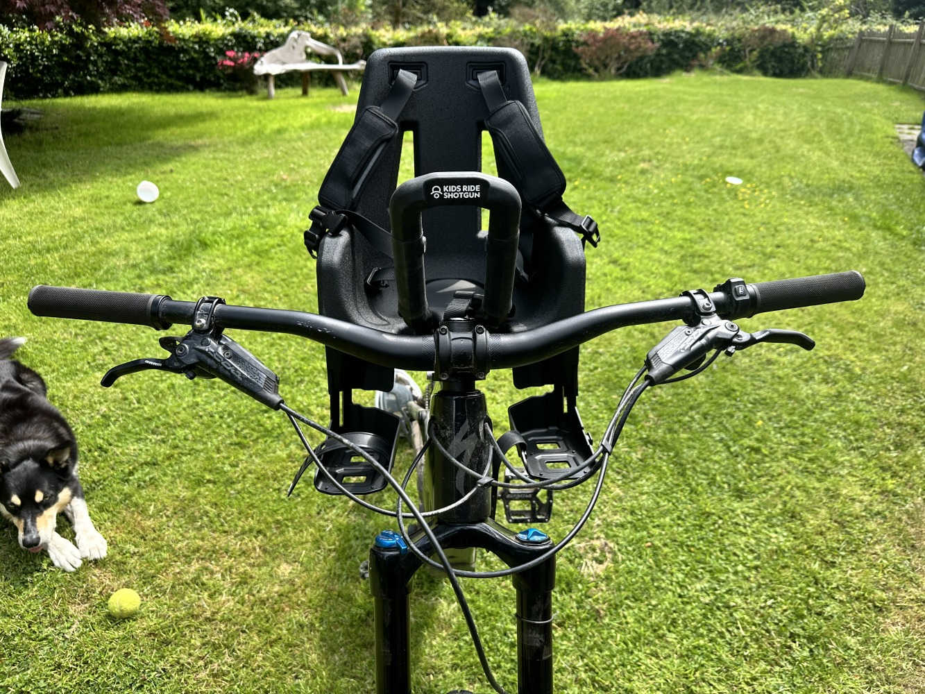 a photo of the kids ride shotgun pro evo baby seat mounted to a mountain bike