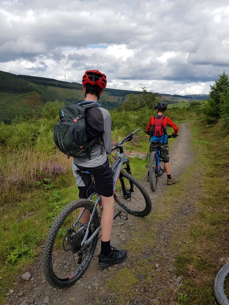 Two boys seen from behind, standing over their mountain bikes, wearing helmets and looking out over the forest