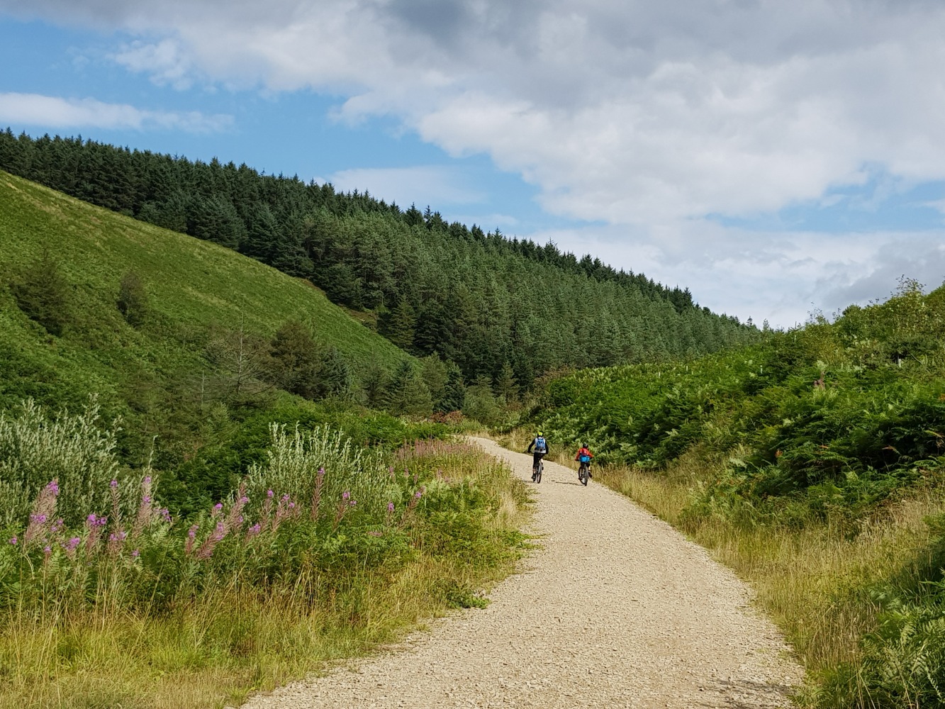 Two boys seen from behind, at a distance, riding along a gravel path towards a hill covered in pine trees