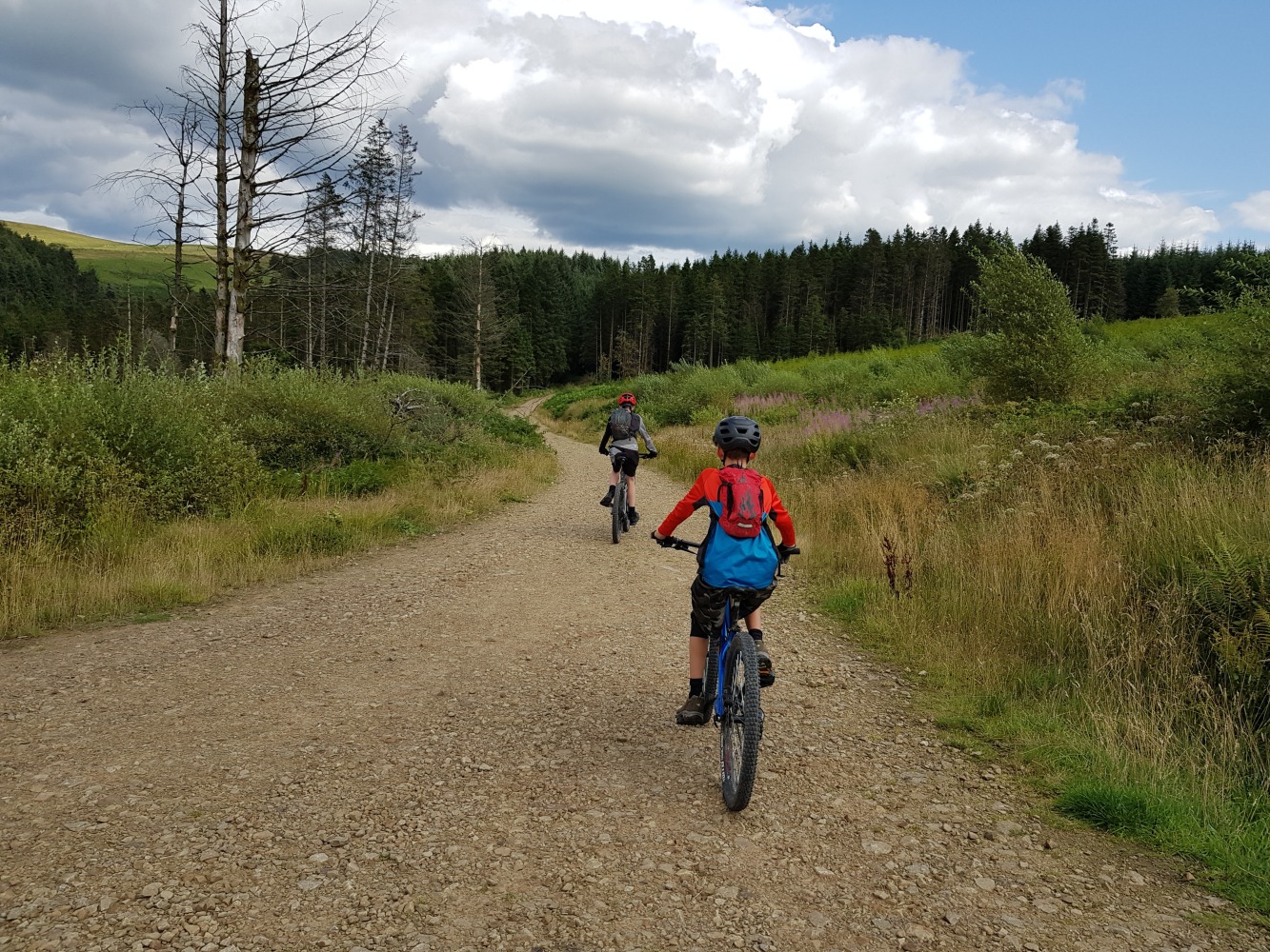 Two boys seen riding their mountain bikes from behind, along a gravelly path with pine trees in the distance