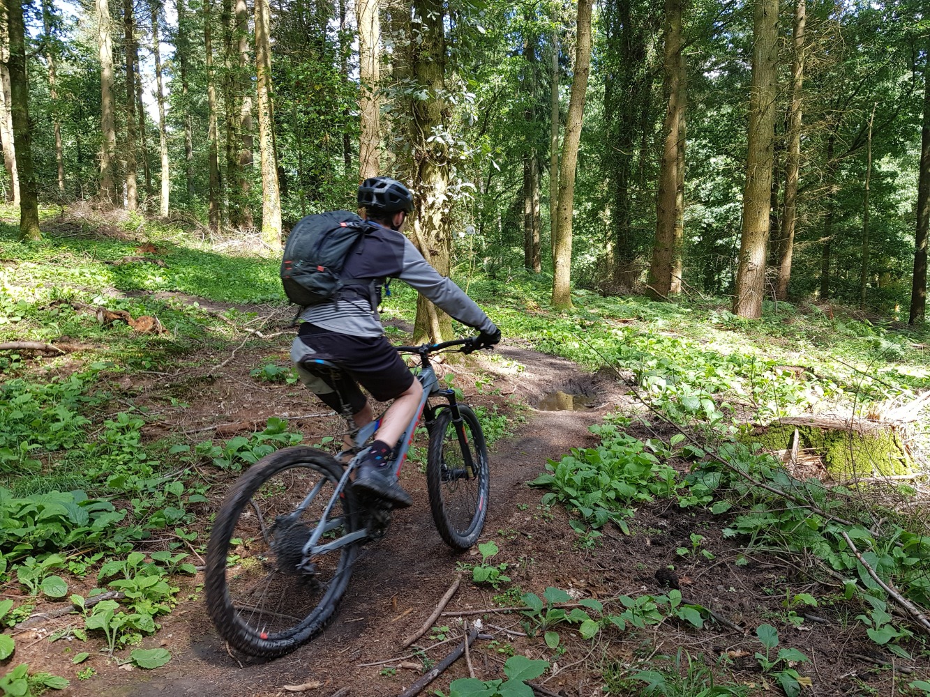 A boy seen from behind riding a mountain bike along a hardpack trail through the woods