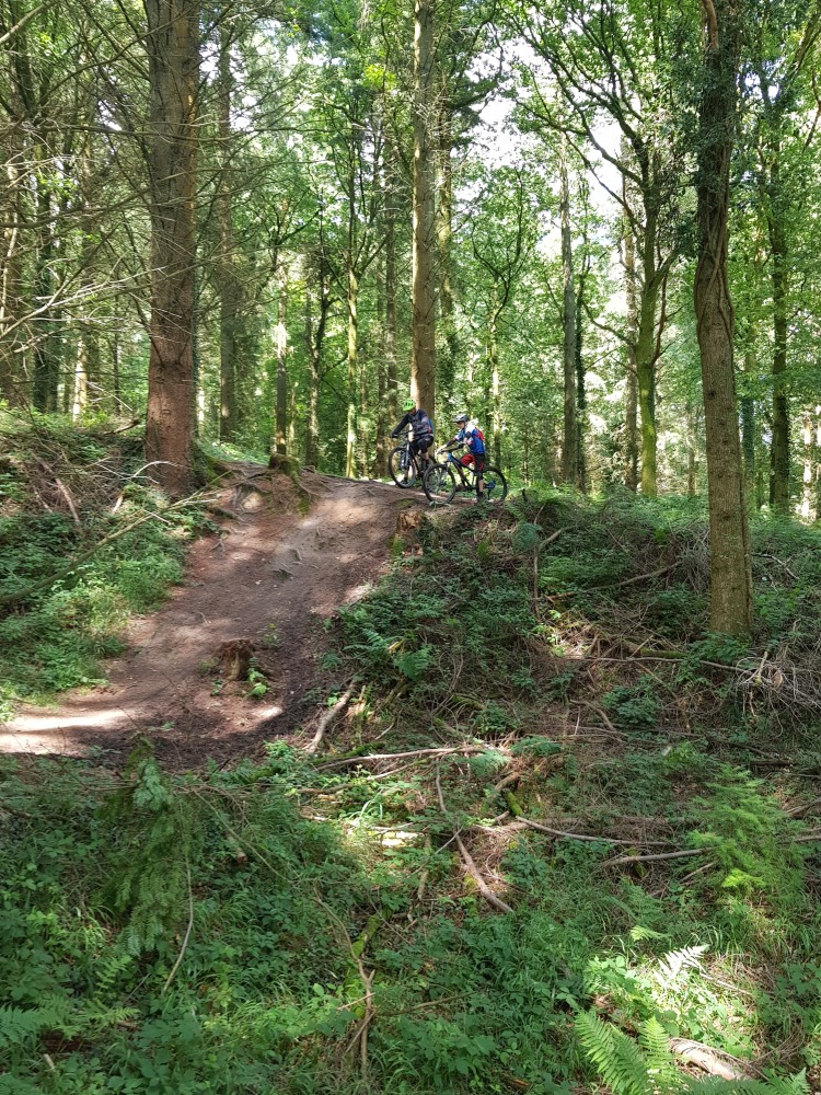 Two boys on their mountain bikes seen from a distance, at the top of a big descent in the woods