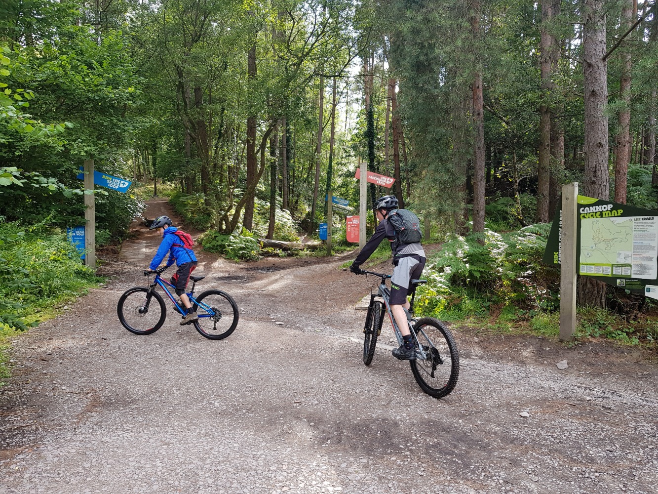 Two boys riding their mountain bikes in the forest with red and blue trails signposted around them