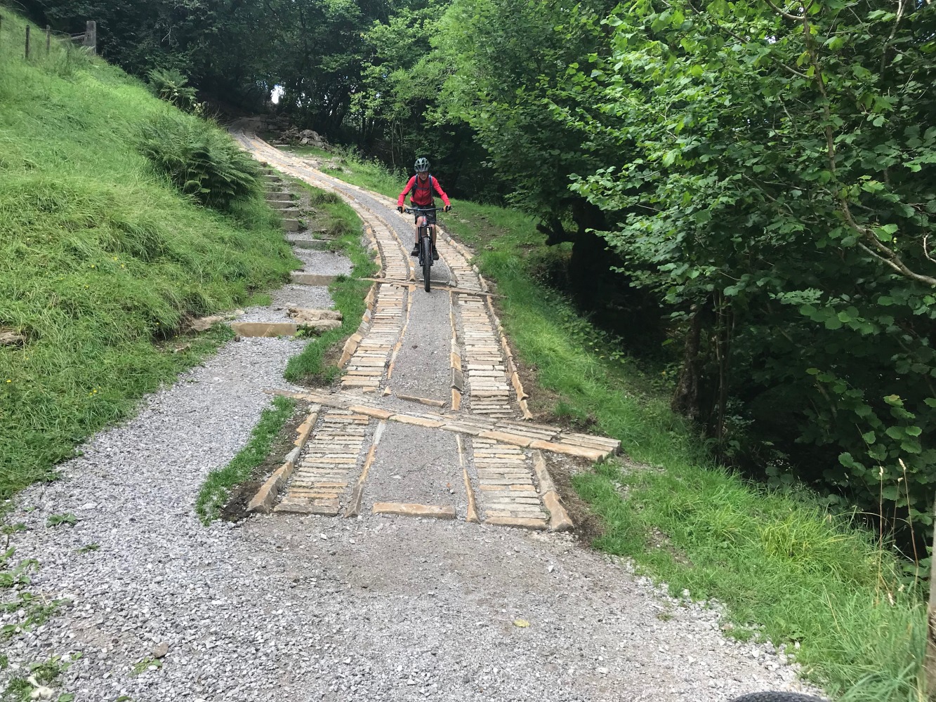 A boy seen from the front, riding his mountain bike down a slope towards a gravel path