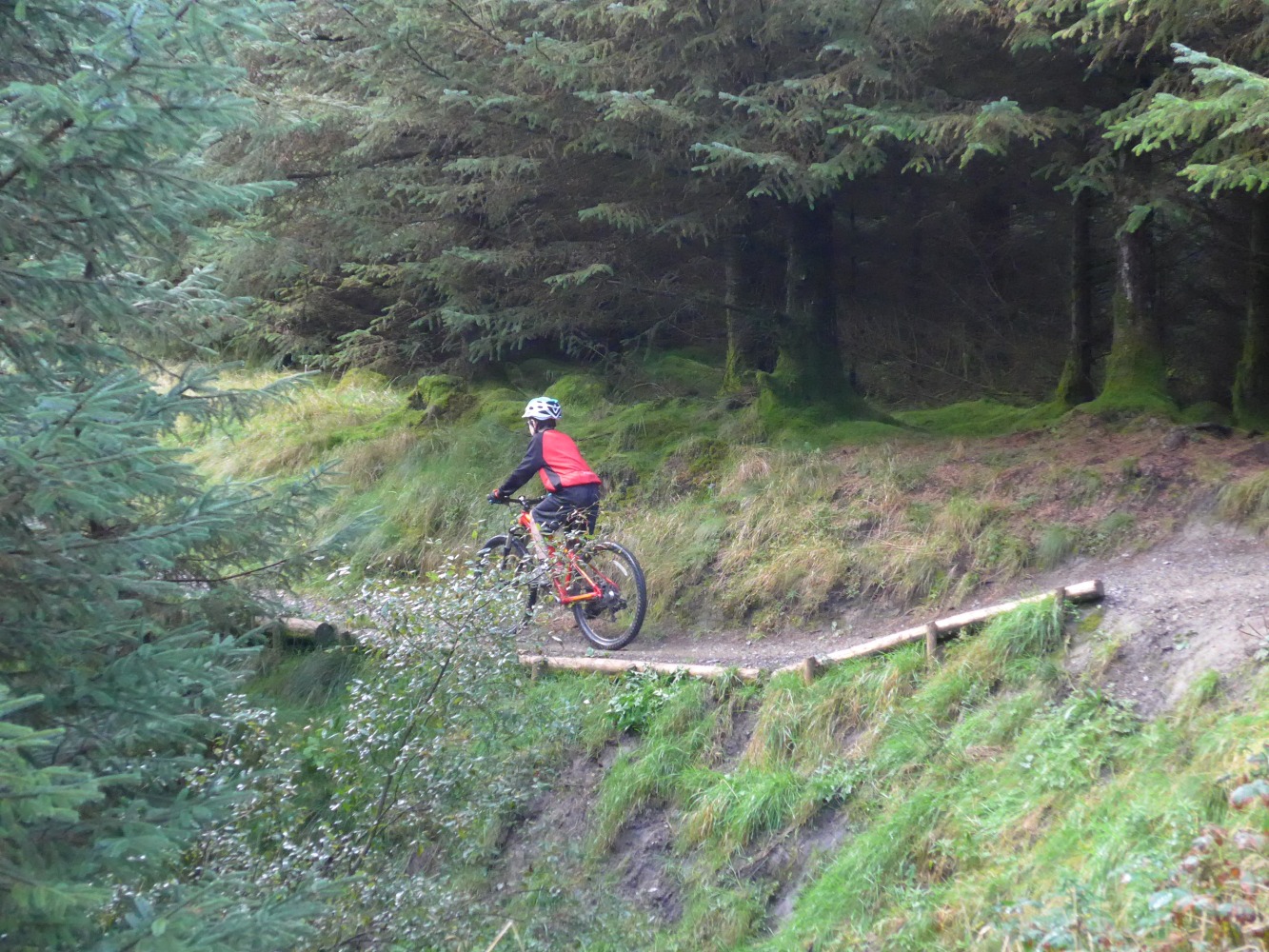 A boy seen from the side at a distance, riding his mountain bike along a wooded path
