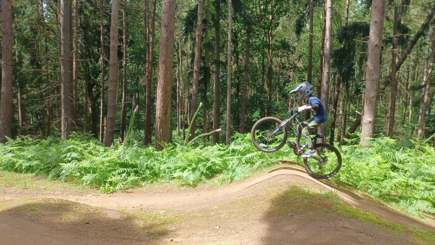 A small child wearing a full face helmet and manualling their small mountain bike over the crest of a jump with woodland behind them