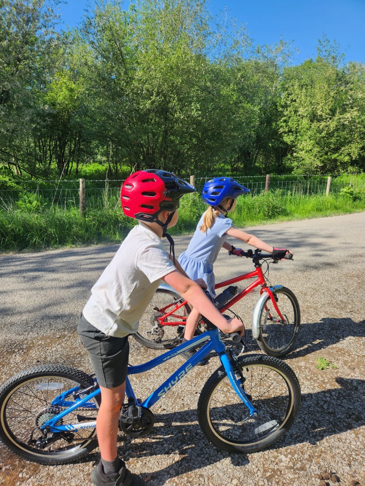 Shyre Hopton 20 review: A boy and girl standing over their bikes, wearing helmets, looking away from the camera, with trees in the background