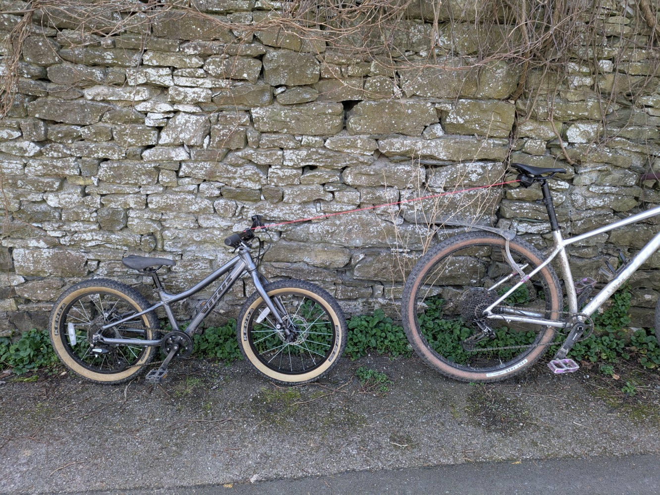 Zefal bike taxi towing a childs bike