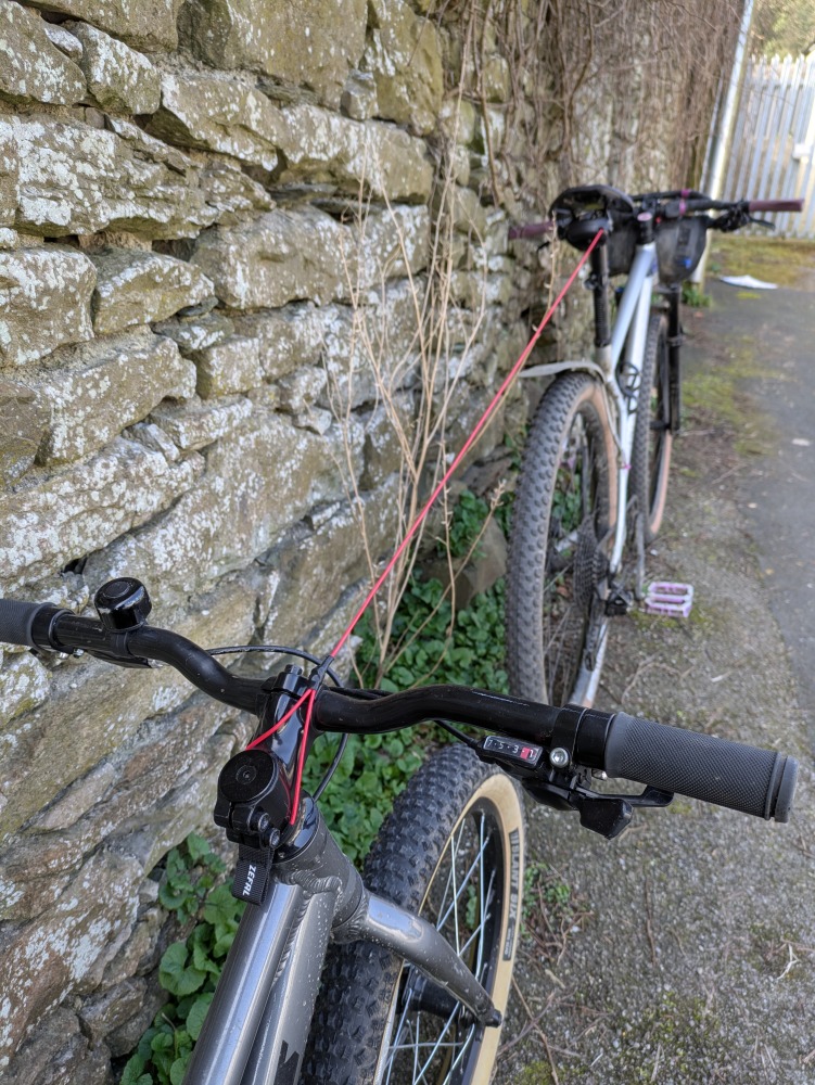 Zefal bike taxi towing a childs bike