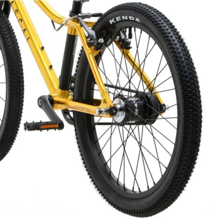 Photo of the rear wheel of a 20 inch Rascal kids bike showing the three speed Sturmey-Archer hub 